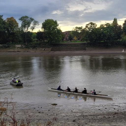 chiswick-school-coxed-512x512